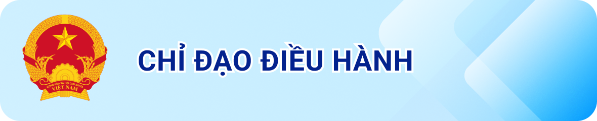 Chỉ đạo điều hành