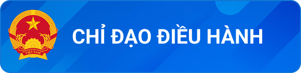 Chỉ đạo điều hành