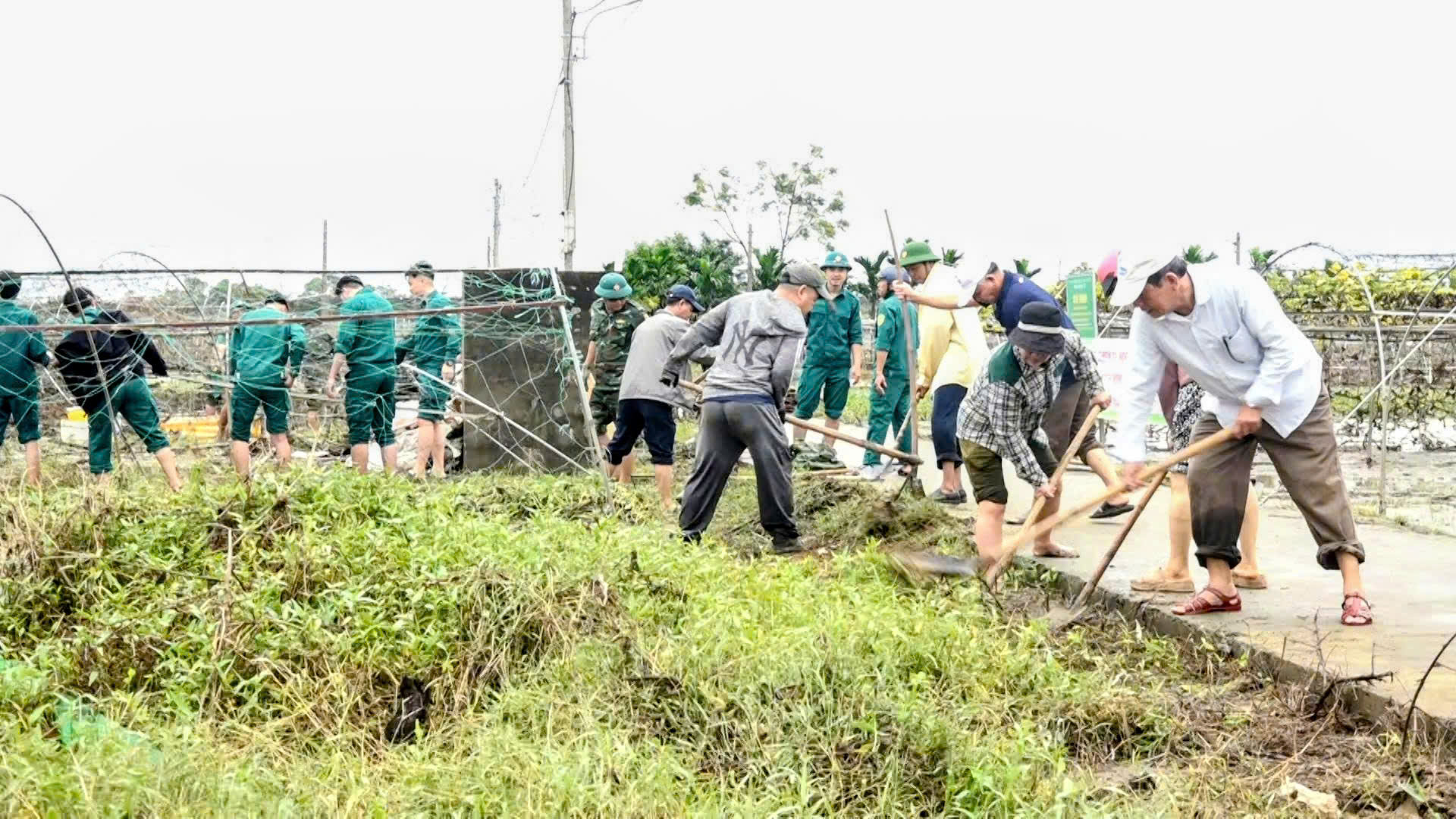 CẨM LỆ: Ra quân tổng dọn vệ sinh vùng rau La Hường sau ngập lụt